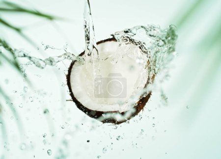 Téléchargez les photos : Coco fissuré avec éclaboussures d'eau volant dans l'air, isolé sur fond blanc. Flou feuilles de palmier autour. - en image libre de droit