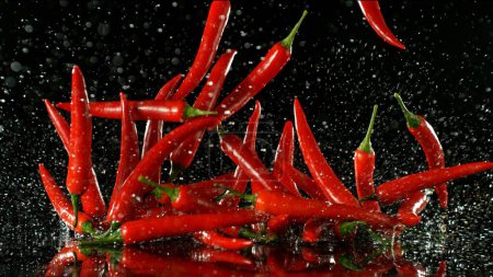 Photo for Fresh Chilli Peppers Falling Down on Black Background. Splashing Water. - Royalty Free Image