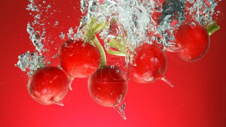 Téléchargez les photos : Mouvement de gel du radis frais sous l'eau, isolé sur fond coloré. - en image libre de droit
