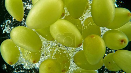 Foto de Ramo de uvas frescas de vino caído en el agua. Con burbujas de aire y salpicaduras aisladas sobre fondo negro. - Imagen libre de derechos