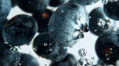 Macro shot of blueberries in the water. Vegan and vegetarian concept. Detail of texture of blueberry berries.