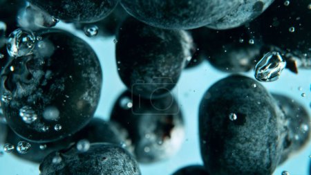 Macro shot of blueberries in the water. Vegan and vegetarian concept. Detail of texture of blueberry berries.