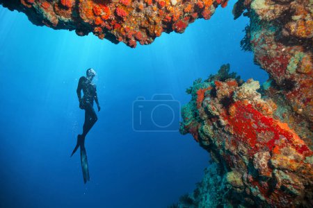 Téléchargez les photos : Silhouette de plongeur libre explorant le récif corallien. Activités sportives et récréatives sous-marines. - en image libre de droit