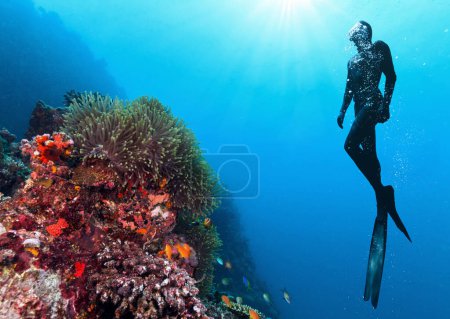 Silhouette of free diver exploring coral reef. Underwater sport and leasure activities.