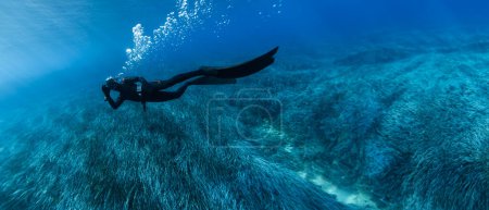Foto de Freediver Natación en mar poco profundo con hierba marina. Joven bricolaje Eploring Sea Life. - Imagen libre de derechos