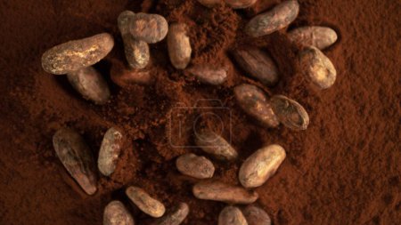 Foto de Congelar el movimiento del grupo volador de granos de cacao. Caer en polvo de cacao. - Imagen libre de derechos