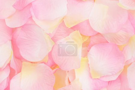 Photo for Pink and yellow rose petal love background for your valentine or anniversary message - Royalty Free Image