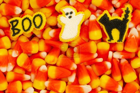 Téléchargez les photos : Bonbons maïs, fantôme, chat, et boo Halloween fond pour vous cany de message de vacances - en image libre de droit