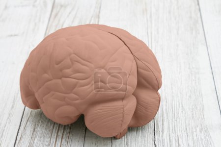 Cerebro de la materia modelo en madera envejecida 