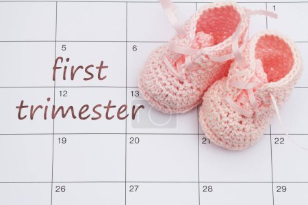 Foto de Mensaje del primer trimestre en un calendario con botines de bebé rosados - Imagen libre de derechos