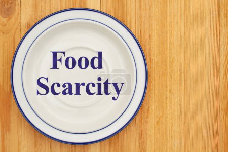 Foto de Escasez de alimentos en un plato blanco y azul vacío sobre una mesa de madera - Imagen libre de derechos