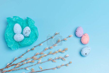 Foto de Nido con huevos de Pascua de colores y ramas de sauce con amentos en el fondo azul. Vista superior. - Imagen libre de derechos