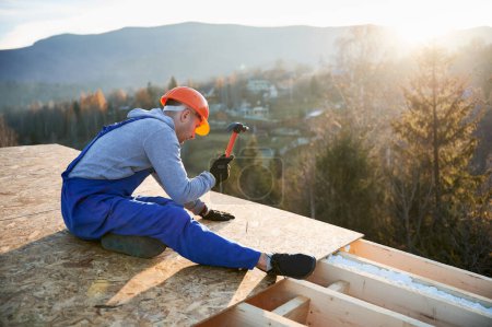 Photo for Carpenter hammering nail into OSB panel on the roof top of future cottage in the evening. Man worker building wooden frame house. Carpentry and construction concept. - Royalty Free Image