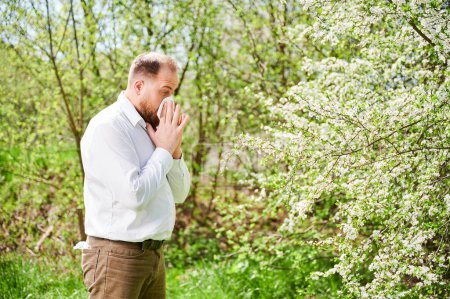 Téléchargez les photos : Homme allergique souffrant d'allergie saisonnière au printemps dans le jardin en fleurs au printemps. Jeune homme éternuant et se mouchant avec un mouchoir nasal devant un arbre en fleurs. Concept d'allergie printanière - en image libre de droit