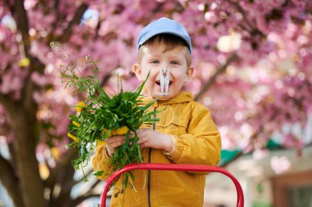 Photo for Boy allergic suffering from seasonal allergy at spring. Toddler guy with clothespin clipped to his nose - symbolic gesture of his inability to breathe due to nasal congestion near blooming tree. - Royalty Free Image