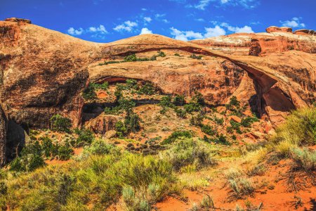 Photo for Colorful Landscape Arch Rock Canyon Devils Garden Arches National Park Moab Utah USA Southwest Longest and thinnest arch in the world. - Royalty Free Image