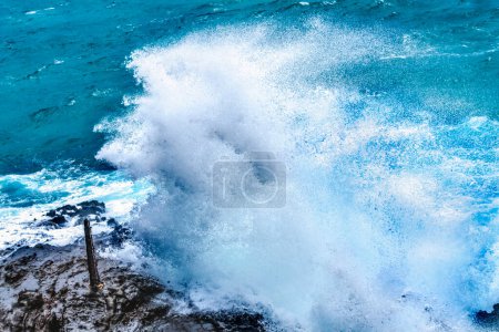 Foto de Colorido Halona Lava Blowhole Halona Point Oahu Hawaii Waves roll in rock formation shoots sea spray in the air - Imagen libre de derechos