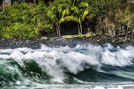 Téléchargez les photos : Grandes vagues Rock Vegetaion Baie de Waimea Côte-Nord Oahu Hawaii. La baie de Waimea est célèbre pour ses vagues de surf. Ce jour-là, les vagues étaient de 15 à 20 pieds de haut. - en image libre de droit