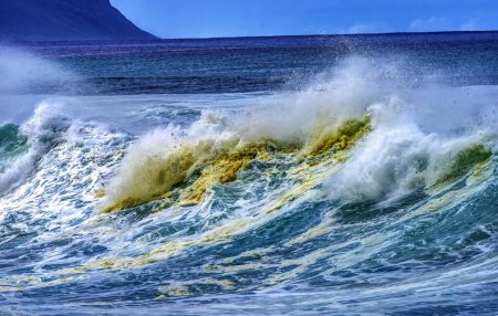 Téléchargez les photos : Watching Large Wave Sand Waimea Bay North Shore Oahu Hawaii. La baie de Waimea est célèbre pour ses vagues de surf. Ce jour-là, les vagues étaient de 15 à 20 pieds de haut. - en image libre de droit