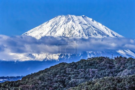 Foto de Colorido nevado Monte Fuji Nube de montaña Hiratsuka Kanwagawa Japón. Última erupción 1707 dC. La montaña más alta de Japón a más de 12.000 pies. El monte Fuji es un símbolo de Japón. - Imagen libre de derechos