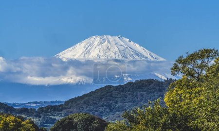 Foto de Coloridas hojas de otoño Campo Nevado Monte Fuji Montaña Hiratuska Kanwagawa Japón. La montaña más alta de Japón a más de 12.000 pies. - Imagen libre de derechos