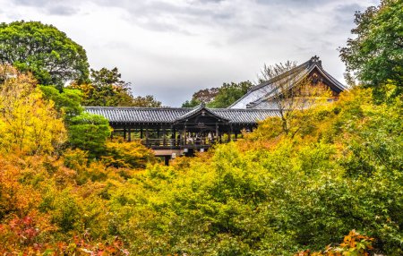 Coloful Platform Raining Walking Yellow Red Fall Leaves Green Tofuku-ji Zen Buddhist Temple Kyoto Japan. Dates to 1236. Famous view from Tsutenkyo Bridge in temple.