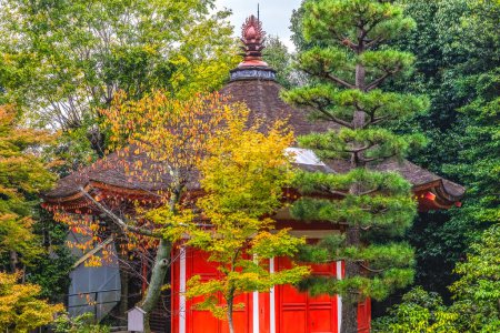 Coloful Red Small Budhist Temple Aizendo Yellow Fall Leaves Green Trees Tofuku-ji Zen Buddhist Temple Kyoto Japan. Dates to 1236. 