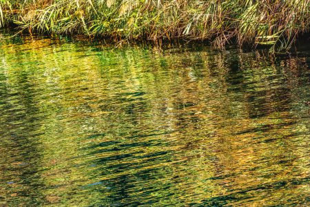 jordan river yardenit taufe site green water reflection abstract israel. berühmte Stätte, wo Jesus angeblich von Johannes dem Täufer getauft wurde