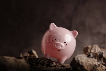 Photo for Financial Success Concepts. Obstacles to Saving Money. a Pink Piggy Bank trying to Walking through on the Rough Road - Royalty Free Image