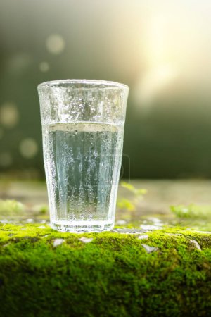 Photo for World Water Day Concept. Water Drink Glass. Freshness and Cold. Sourounded by Green Moss and Natural Morning Sunlight Environment - Royalty Free Image