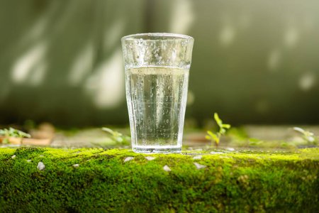 Photo for World Water Day Concept. Water Drink Glass. Freshness and Cold. Sourounded by Green Moss and Natural Morning Sunlight Environment - Royalty Free Image