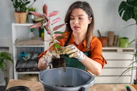 Foto de Mujer cuidando plantas en su casa. - Imagen libre de derechos