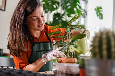 Foto de Mujer cuidando plantas en su casa. - Imagen libre de derechos