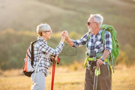 Téléchargez les photos : Couple sénior randonnée en montagne - en image libre de droit