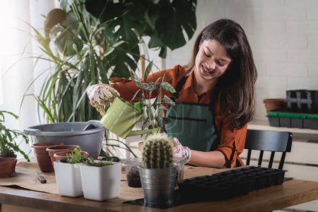 Téléchargez les photos : Femme prenant soin des plantes à sa maison. - en image libre de droit