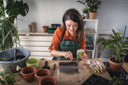Téléchargez les photos : Femme prenant soin des plantes à sa maison. - en image libre de droit