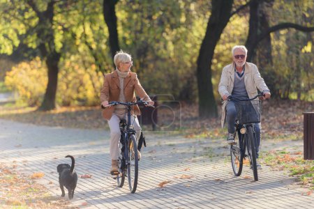 Foto de Alegre pareja mayor activa con bicicletas en el parque público juntos divertirse. Actividades perfectas para personas mayores. Feliz pareja adulta montando bicicletas en el parque - Imagen libre de derechos