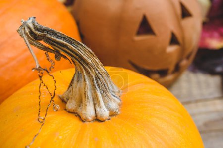 Téléchargez les photos : Halloween automne carte de voeux de fond avec des feuilles colorées, citrouilles et lanterne. Couleur orange et marron. - en image libre de droit