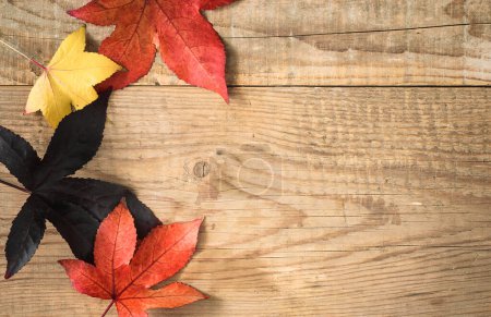 Téléchargez les photos : Fond d'automne avec des feuilles colorées sur le dessus en bois rustique avec copier-espace - en image libre de droit