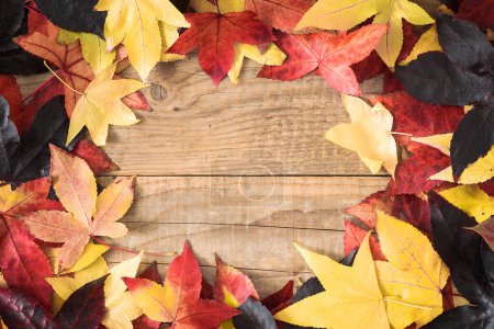 Téléchargez les photos : Fond d'automne avec des feuilles colorées sur le dessus en bois rustique avec copier-espace - en image libre de droit