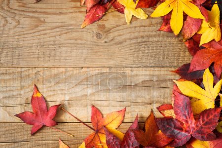 Photo pour Fond d'automne avec des feuilles colorées sur le dessus en bois rustique avec copier-espace - image libre de droit