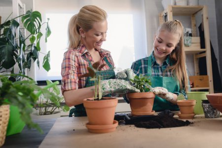 Téléchargez les photos : Mère et sa fille plantent des plantes en serre - en image libre de droit