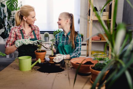 Téléchargez les photos : Mère et sa fille plantent des plantes en serre - en image libre de droit