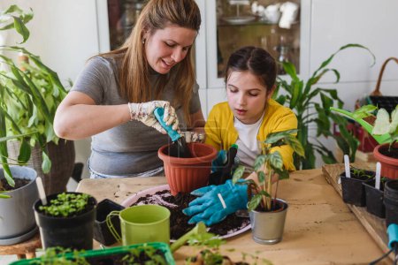 Téléchargez les photos : Jeune femme et sa fille plantant des plantes en serre - en image libre de droit