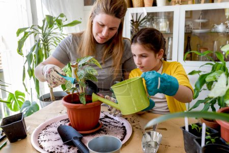 Téléchargez les photos : Jeune femme et sa fille plantant des plantes en serre - en image libre de droit