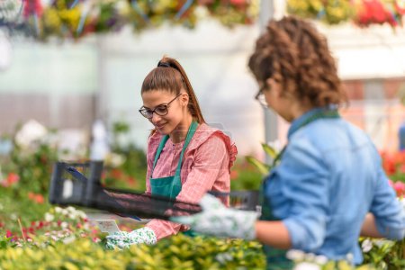 Photo for Young women working in greenhouse - Royalty Free Image