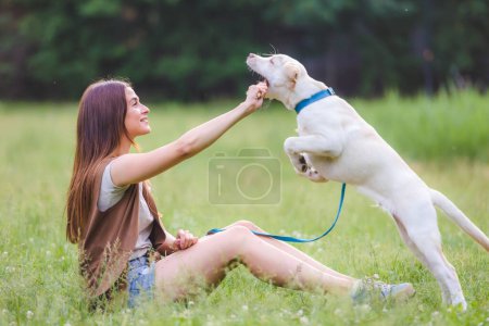 Photo for Beautiful woman training her dog outdoors - Royalty Free Image