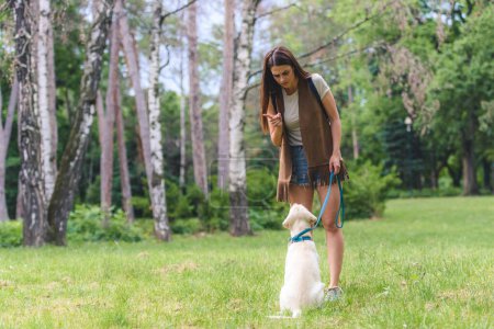 Téléchargez les photos : Belle femme dressant son chien à l'extérieur - en image libre de droit