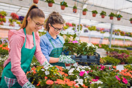Foto de Hermosas floristas mujeres que trabajan en invernadero - Imagen libre de derechos