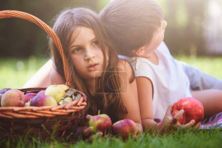 Téléchargez les photos : Frère et soeur posant avec panier plein de pommes - en image libre de droit